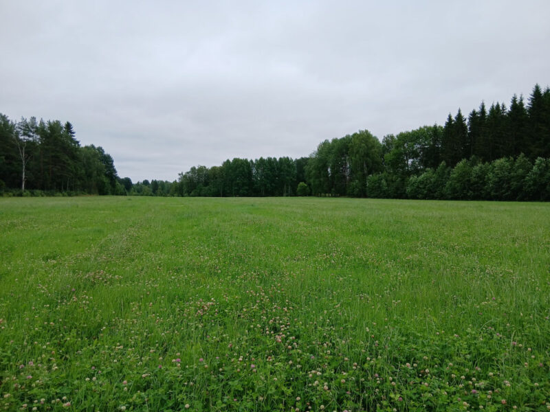 raikko 13.7.2026