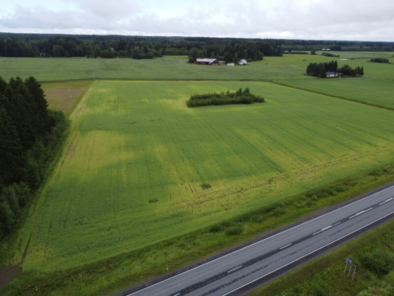 ruohonen 8.7.2026