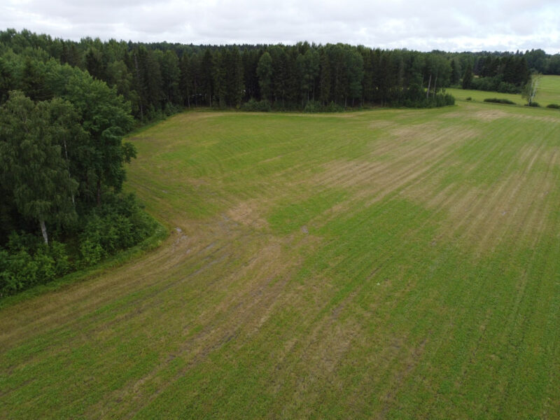 ruohonen 8.7.2026