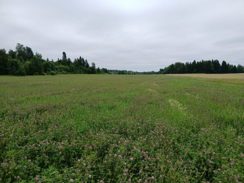 uusikylä 13.7.2026