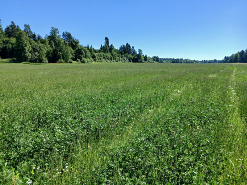 uusikylä 29.6.2026