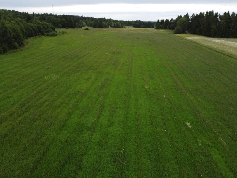 uusikylä 9.7.2026