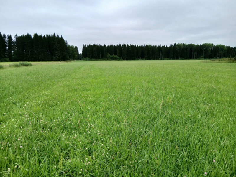 valtatie 13.7.2026