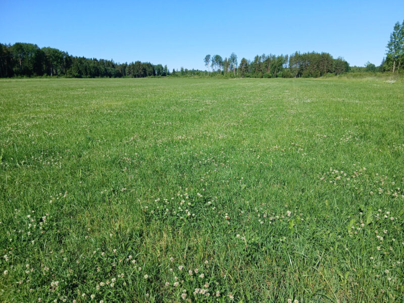 valtatie 29.6.2026