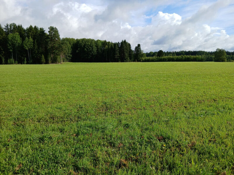 härkihaka 11.8.2026