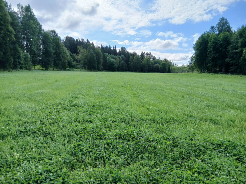 leipurinlohko 17.8.2026