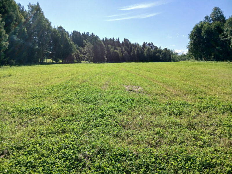 leipurinlohko 3.8.2026