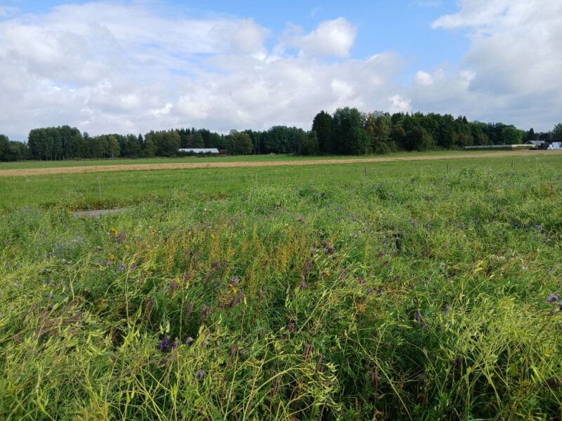 nummilohko 24.8.2026