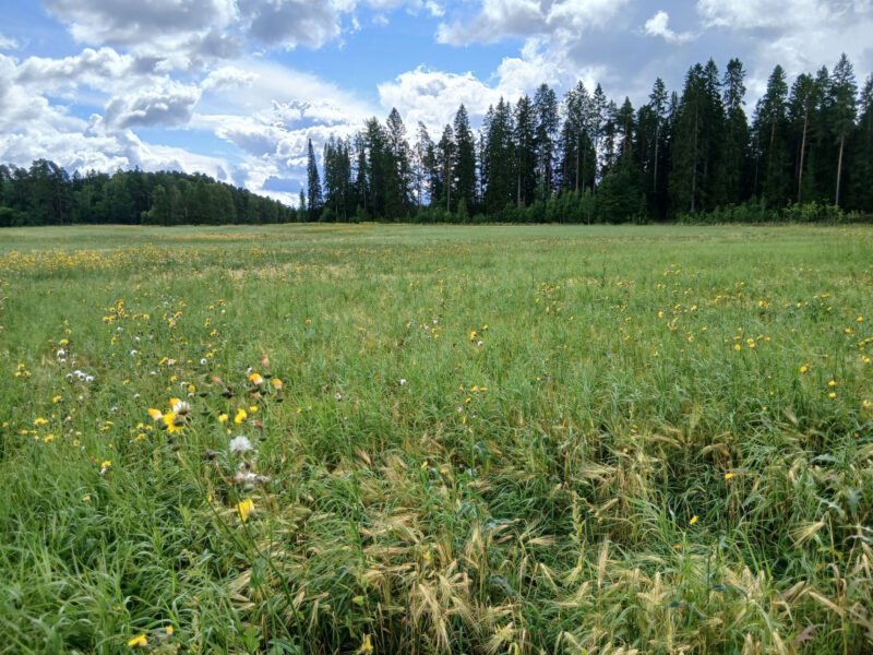 nummilohko 11.8.2026