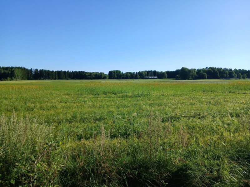 nummilohko 29.7.2026