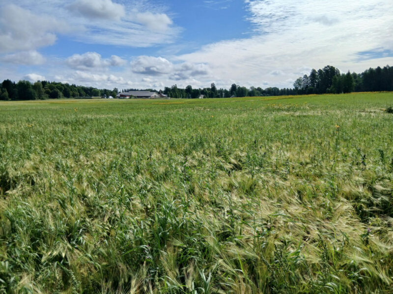nummilohko 4.8.2026