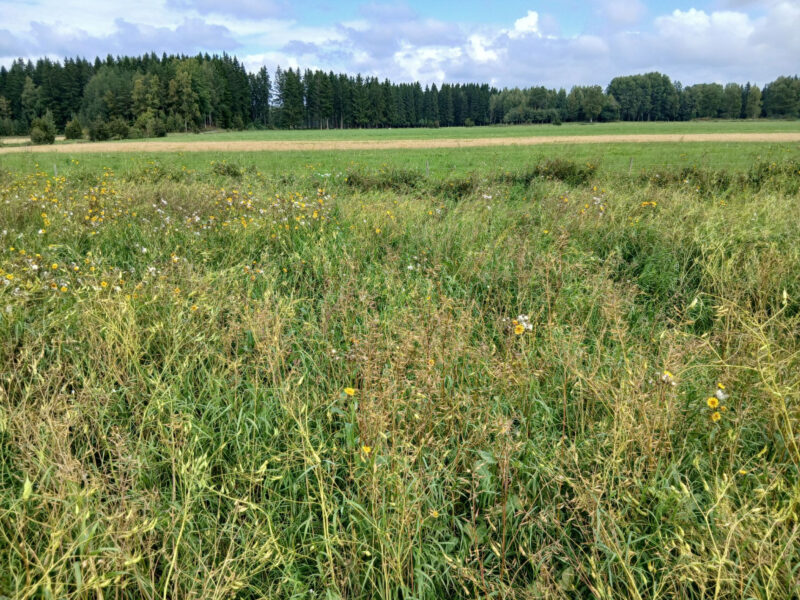 nummilohko 24.8.2026