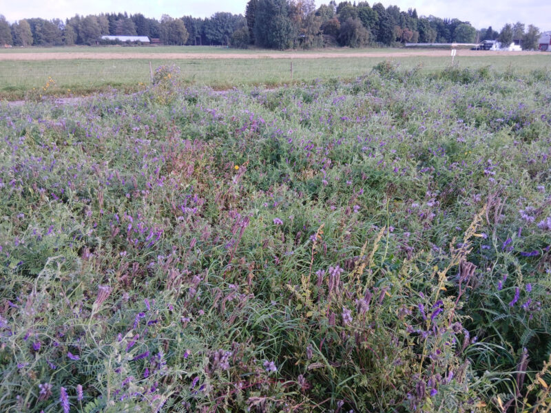 nummilohko 24.8.2026