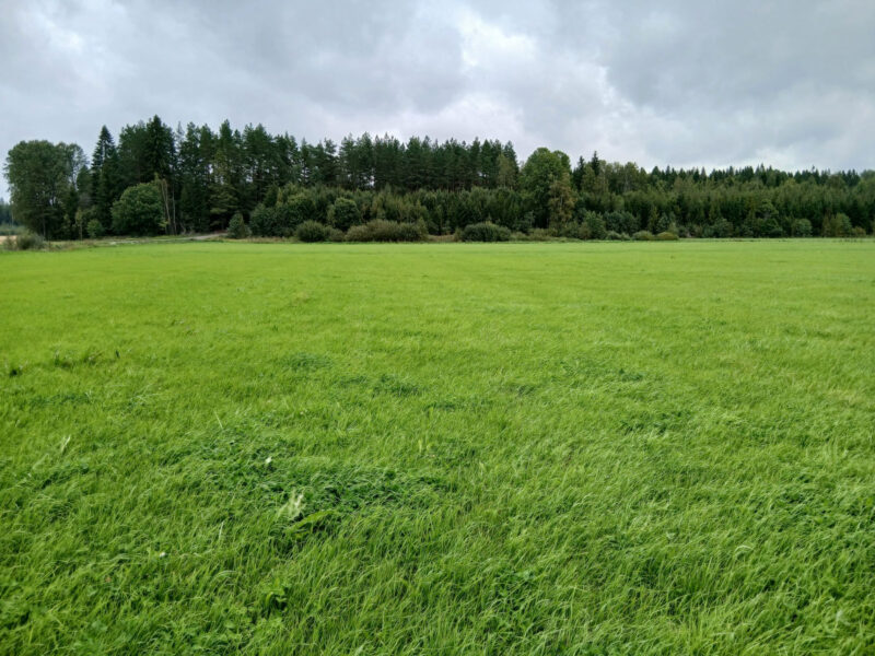 peräkäs 24.8.2026