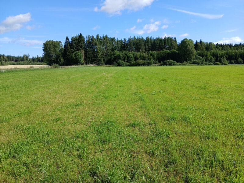 peräkäs 3.8.2026