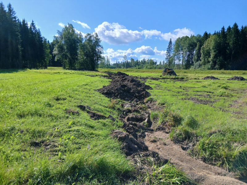 pikku lassila 3.8.2026