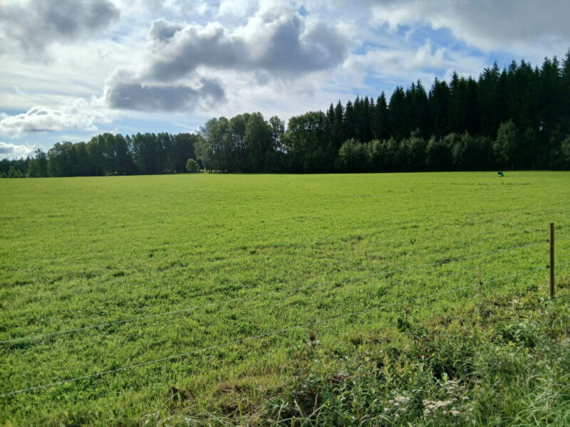 raikko 11.8.2026