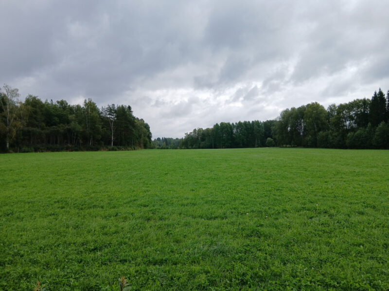 raikko 24.8.2026