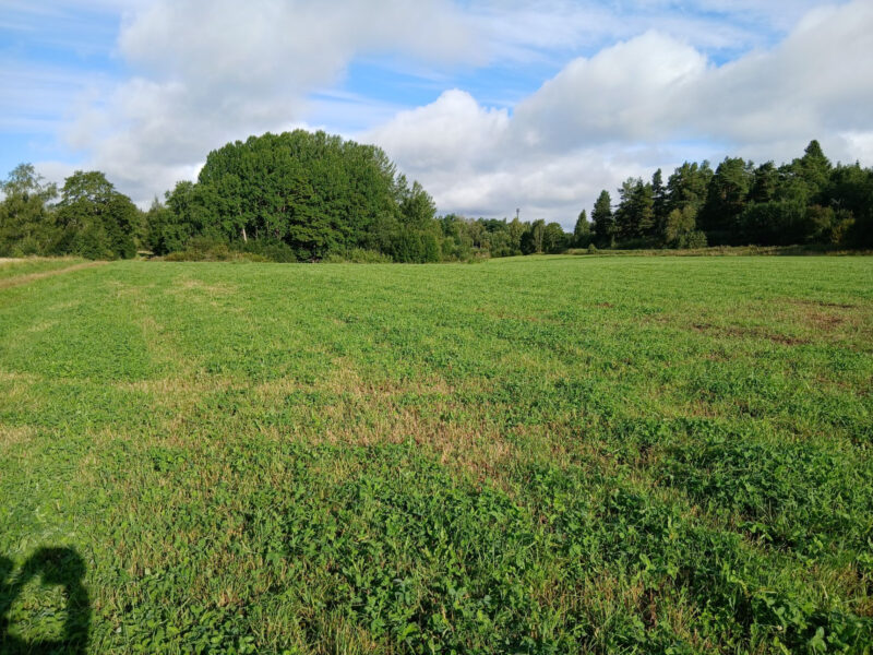 uusikylä 11.8.2026
