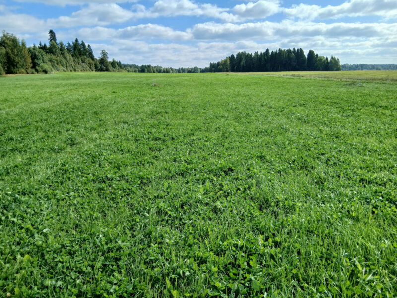 uusikylä 25.8.2026