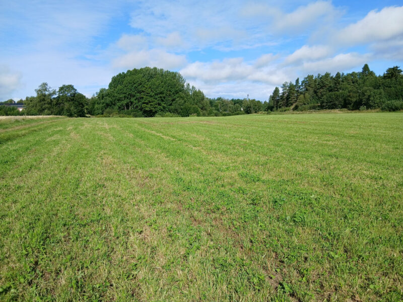 uusikylä 4.8.2026