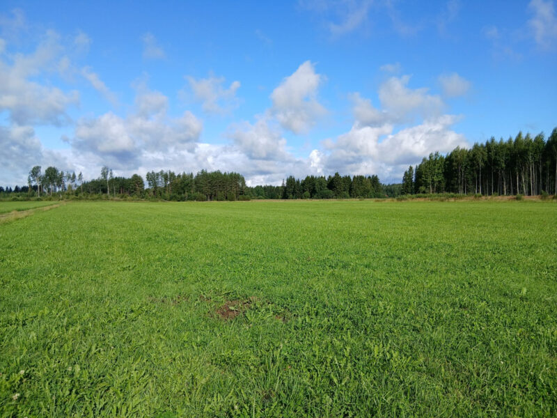 valtatie 11.8.2026
