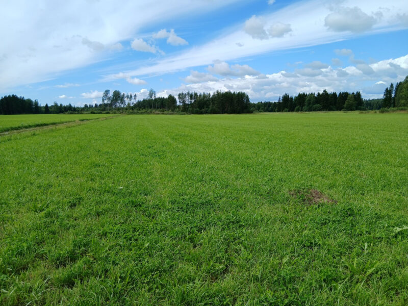 valtatie 3.8.2026