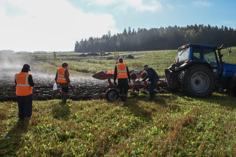 Traktorin perässä oleva aura kääntää peltomaata. Etualalla selin kameraan ihmisiä, jotka katsovat auraa ja sen kääntämää maata.