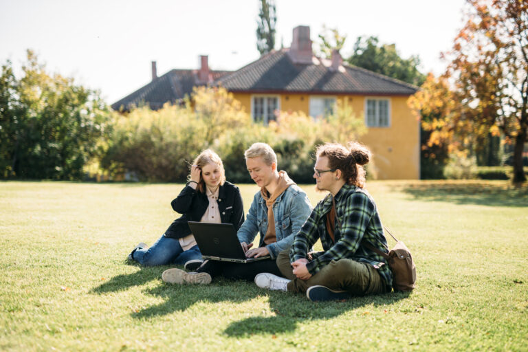 Kolme ihmistä istuu puutarhassa/ Three people sitting in a garden