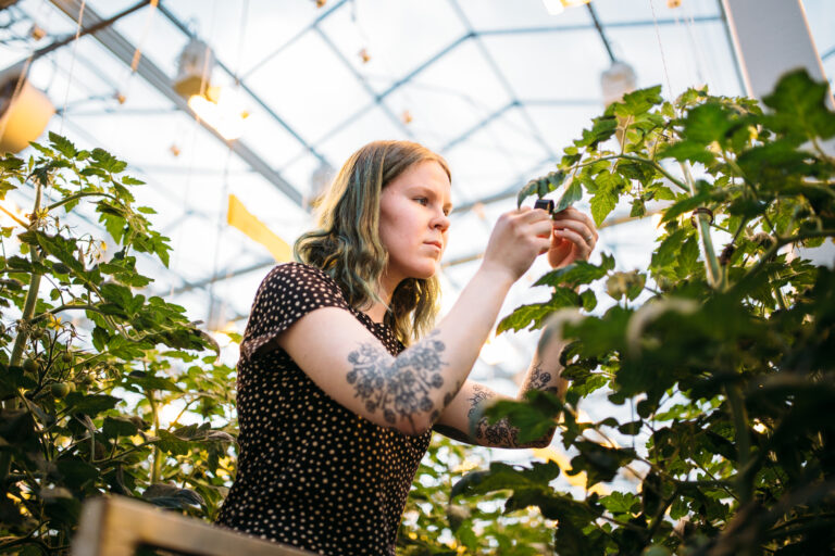 Nainen pitelee lehtä/ A woman is holding a leaf