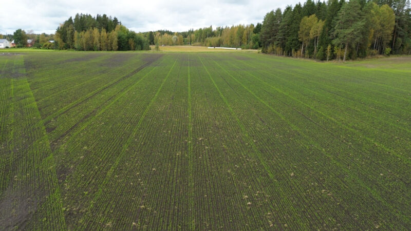 härkihaka 17.9.2026