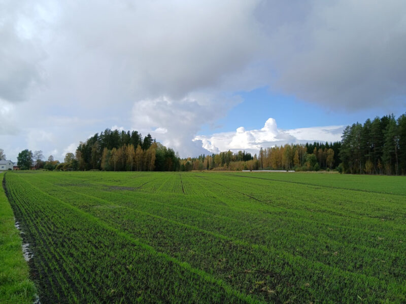 härkihaka 21.9.2026