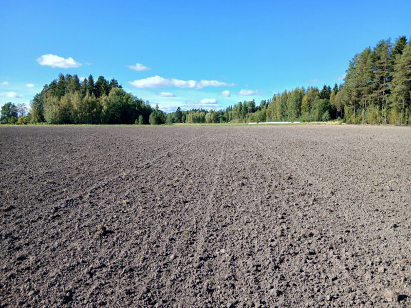 härkihaka 7.9.2026