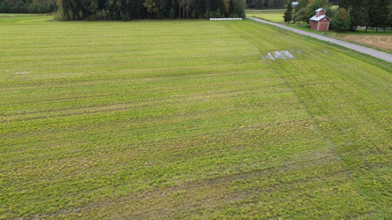 kylmäoja 17.9.2026