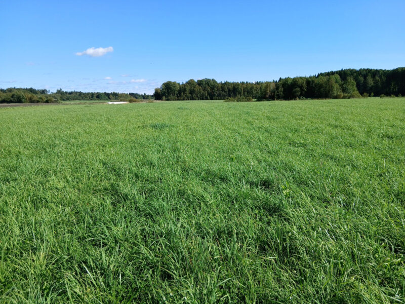kylmäoja 2.9.2026