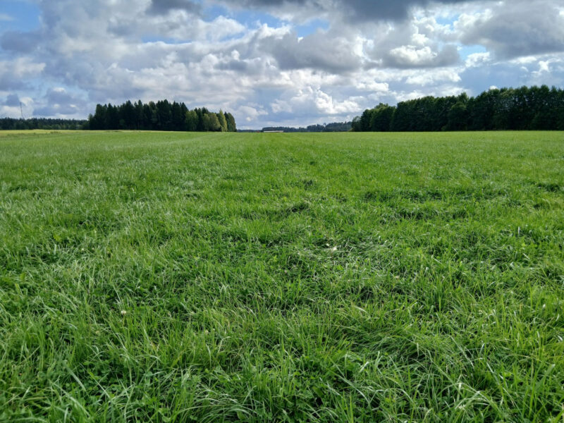 lamminranta 1.9.2026