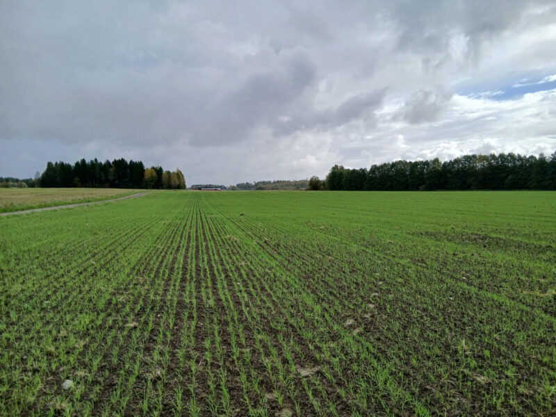 lamminranta 21.9.2026