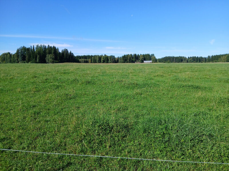 nummilohko 2.9.2026