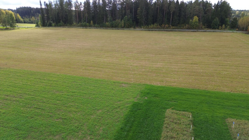 nummilohko 17.9.2026