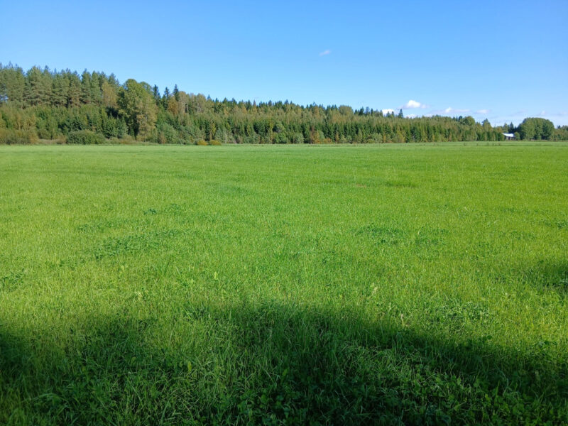 peräkäs 2.9.2026