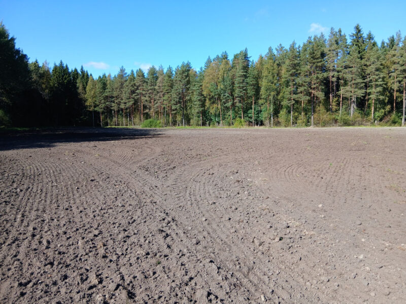 pikku lassila 7.9.2026