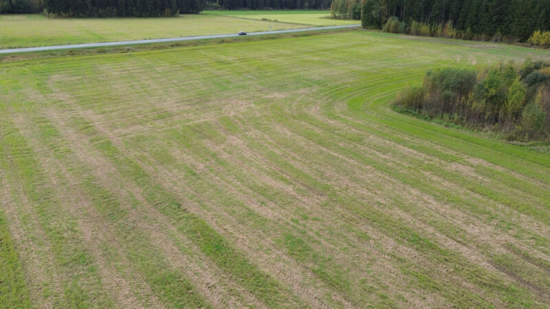 ruohonen 17.9.2026