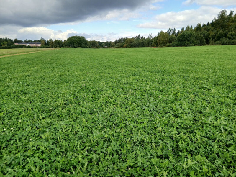 uusikylä 1.9.2026