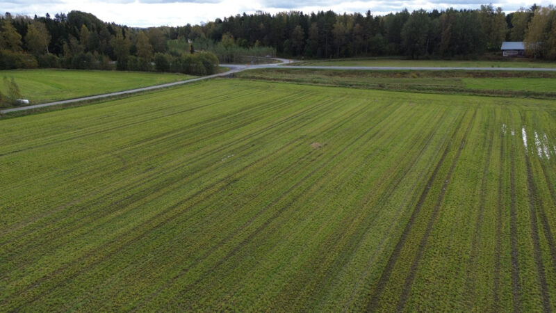 vepsä 17.9.2026