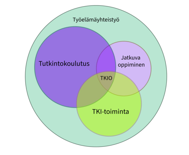 Kuviossa esitetään, kuinka tutkintokoulutusta, jatkuva oppimista ja TKI-toimintaa yhdistää kaikkien rajapinnalla oleva TKIO-toiminta, ja kaikki tämä kuuluu työelämäyhteistyön piiriin.