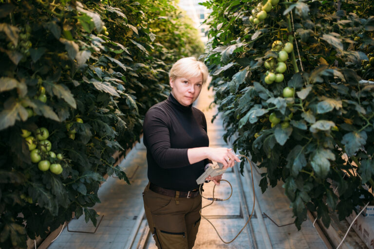 Nainen tekee tutkimusta kasveille/ Woman is doing research on a plant