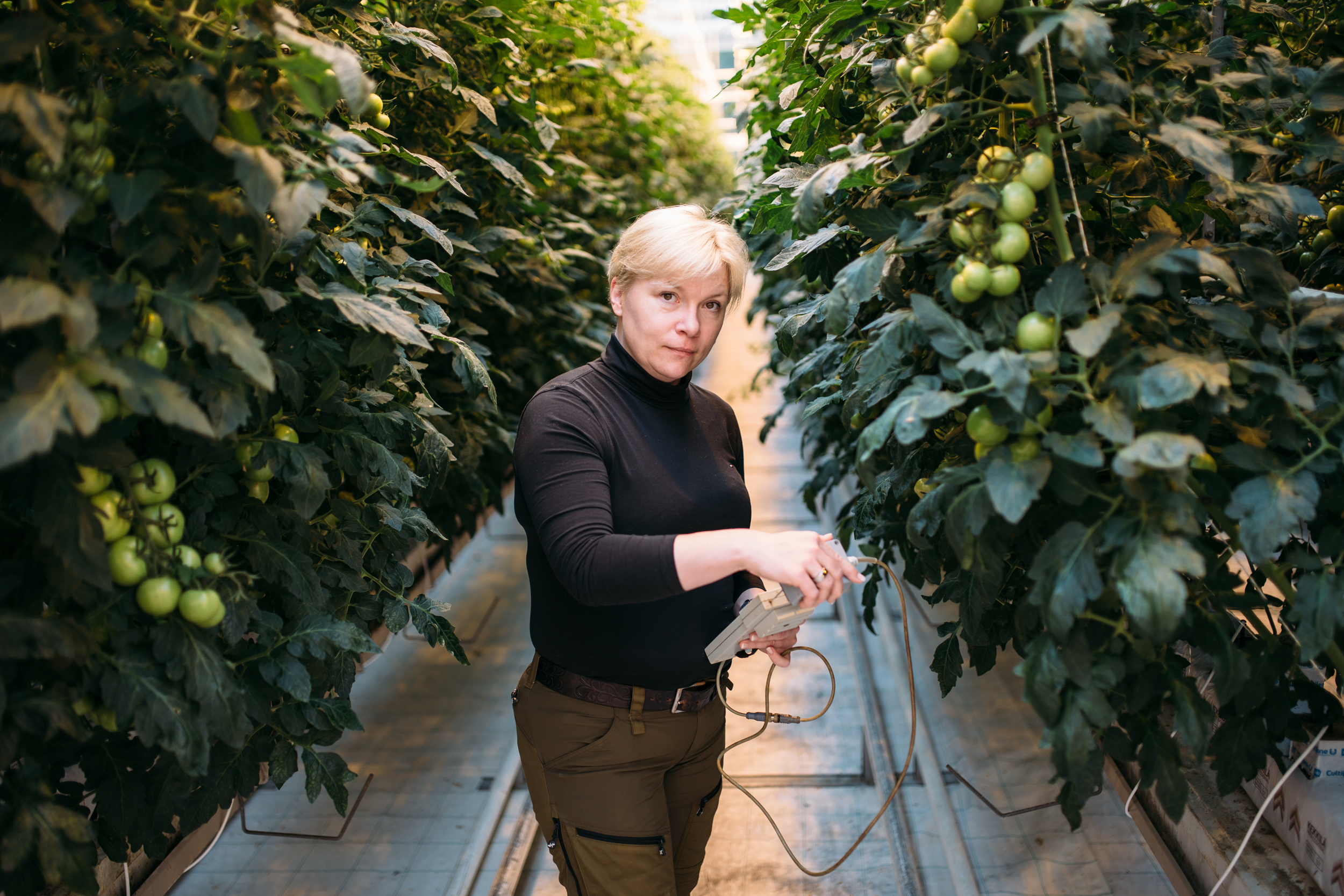 Nainen tekee tutkimusta kasveille/ Woman is doing research on a plant