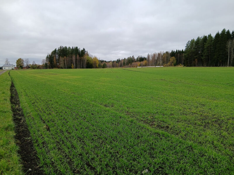 härkihaka 13.10.2026