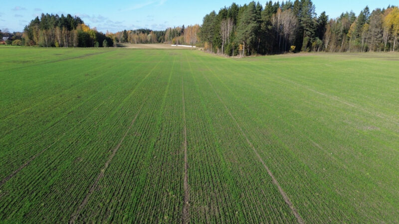 härkihaka 1.10.2026
