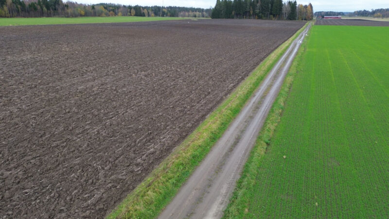 riuskanoja 14.10.2026